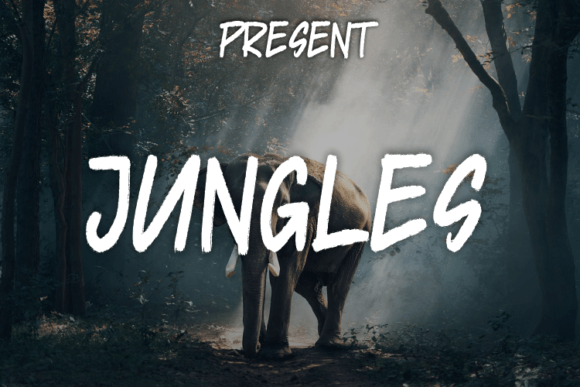 Jungles: A Font for Bold Campaigns