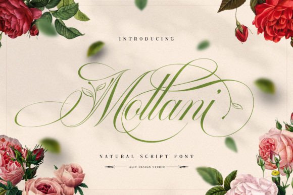 Mollani Font: Elegant Script for Creative Makers