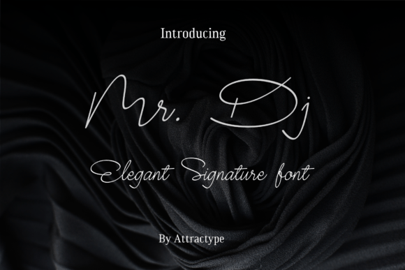Mr. Dj Font: Elegant Script for Editorial Design