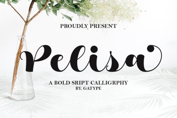 Pelisa: A Graceful Script for Branding